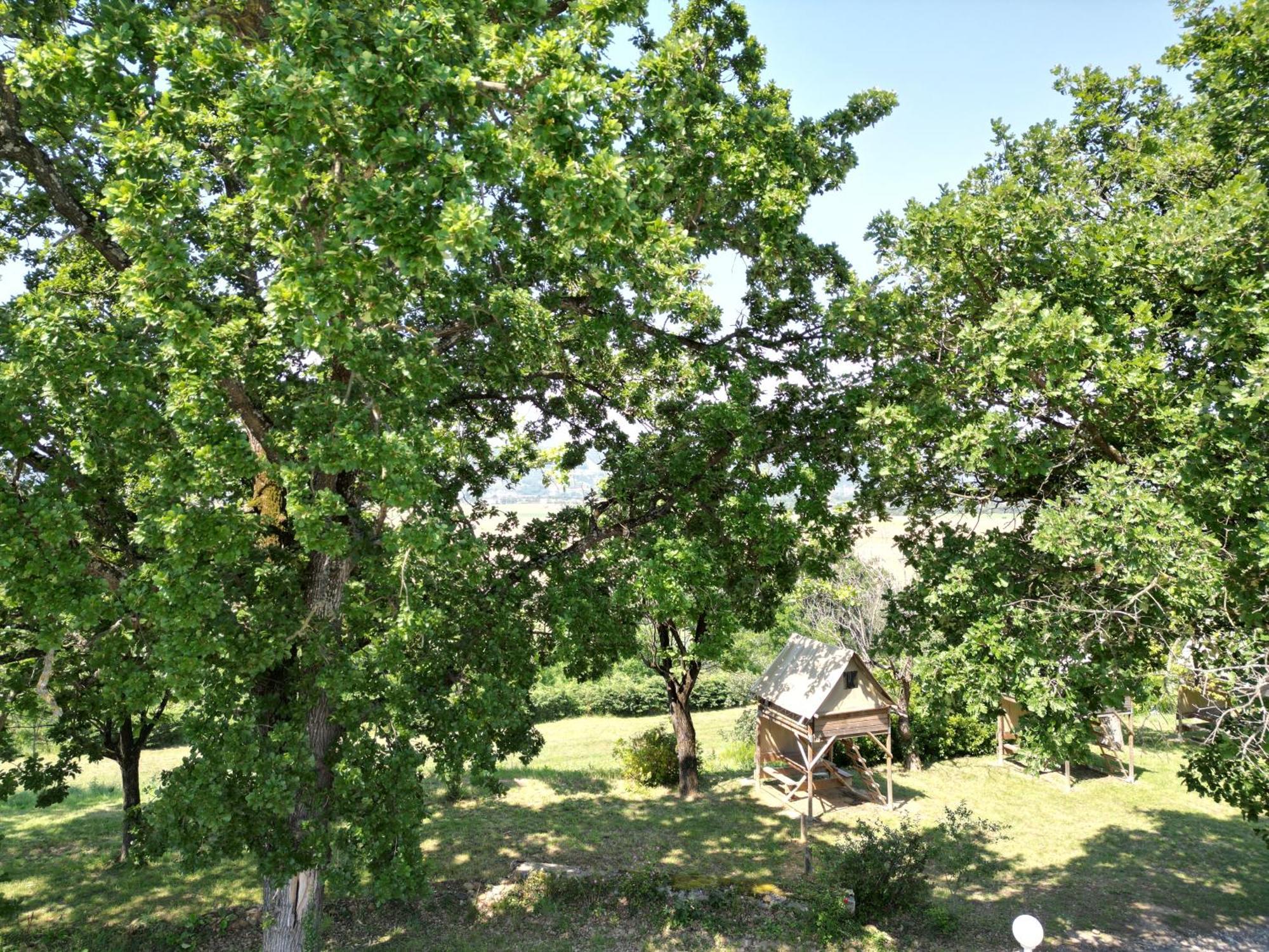 Camping Domaine De Senaud Albon Екстериор снимка
